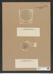 Diatomeae indet. Zeichnungen Sammlung Grunow Nr. 9088 (NHMW-BOT-W0378844)